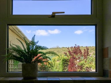A window with a potted fern on the sill overlooking a garden and hills at Downs View in Norton Ferris