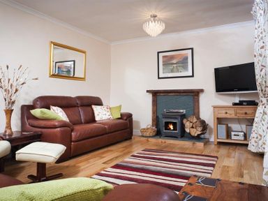 A living room with a brown leather sofa fireplace and television at Nutwood in Lakeside