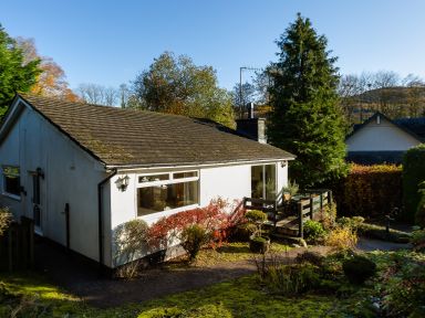 A single story house with a deck and garden surrounded by trees at Nutwood in Lakeside