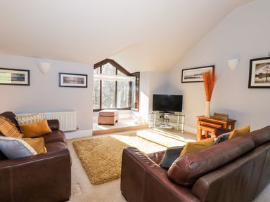 A living room with leather sofas, decorative cushions, a television on a glass stand, a rug, a small table with a vase, and large windows at Spring Cottage in Ambleside