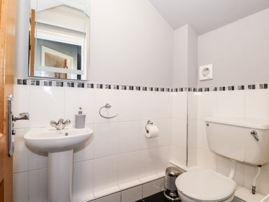 A bathroom with a sink a toilet a mirror and a soap dispenser at Spring Cottage in Ambleside