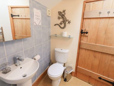 A bathroom with a white toilet and sink a wooden door and a metal lizard wall decoration at Old Coach House Ambleside