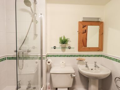 A bathroom with a shower, toilet, sink, mirror, and a plant on a glass shelf at Bobbin Cottage in Ings
