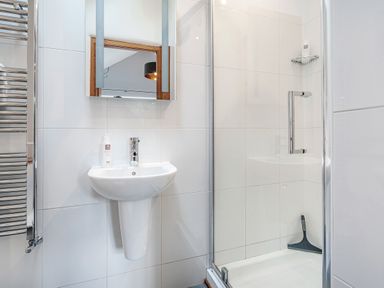 A bathroom with a pedestal sink a mirror a bottle on the sink a glass door shower with a shower squeegee and a metallic towel rack at The Stable At Oakbank in Elterwater