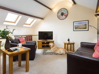 A living room with two dark sofas a dog on a rug a TV on a wooden stand two side tables with mugs and a vase with flowers at Nest Barn in Keswick