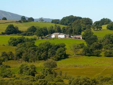 A farmhouse surrounded by fields and trees on a hillside at Nest Barn in Keswick
