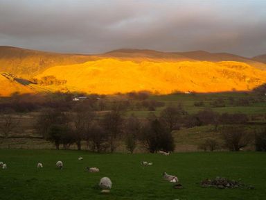 A green field with sheep and hills illuminated by sunlight at Nest Barn in Keswick