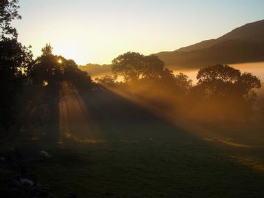 A landscape with trees and rays of sunlight at Nest Barn in Keswick