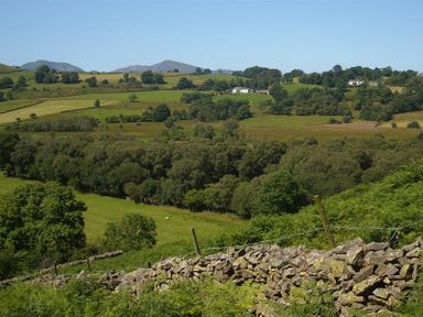 A rural landscape with stone walls trees and fields at Nest Barn in Keswick