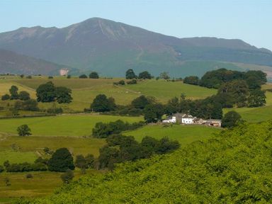 Green fields with scattered trees and a white house at the base of a large mountain at Nest Barn in Keswick