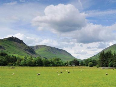 A green field with sheep grazing and hills in the background at Lanterns At Grasmere in Grasmere