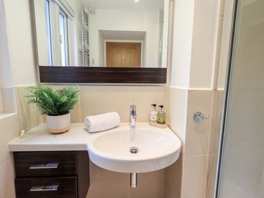 A bathroom sink with a rolled towel plant and soap dispensers under a mirror in a bathroom at Hart Head Barn in Rydal