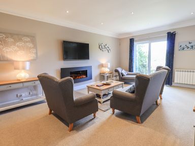 A living room with armchairs coffee table fireplace and television at Pure Grace in Ambleside