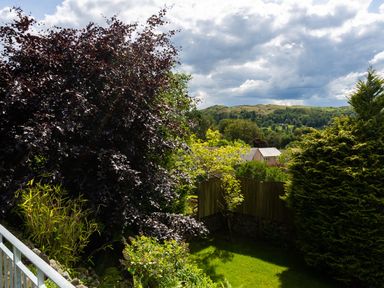 A garden with various trees and plants a wooden fence and hills in the background at Wynford in Ambleside