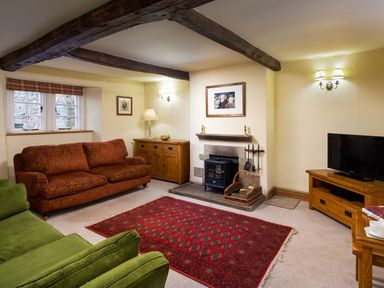 A living room with two sofas a red rug a wood stove and a television at Horrockwood Farm in Watermillock