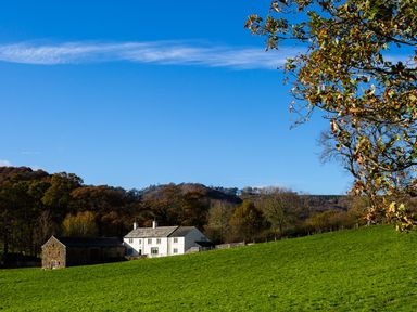 A green field with trees and a white house next to a stone building at Horrockwood Farm in Watermillock