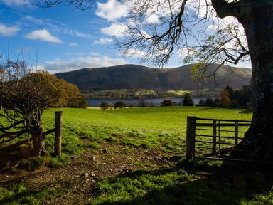 A grassy field with a metal gate and trees overlooking a lake and hills at Horrockwood Farm in Watermillock