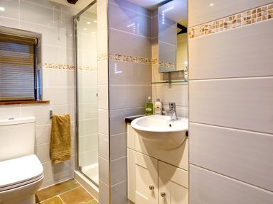 A bathroom with a toilet a towel hanging near the shower and a sink with a mirror at Tipsy Gin Cottage Crosthwaite