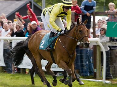 A horse with jockey in yellow and black attire racing on a track with crowd behind fences at Tipsy Gin Cottage in Crosthwaite