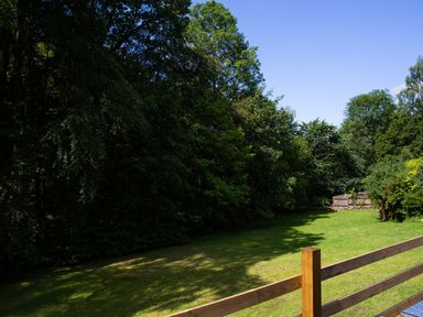 A backyard with a wooden fence surrounded by trees and grass at Beech View in Ambleside