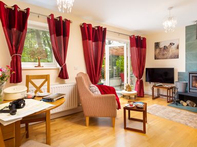 A living room with red curtains a striped armchair a television and a wood burning stove at Artists Hideaway in Keswick