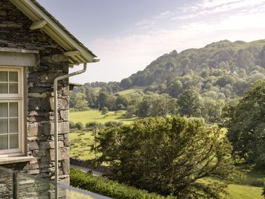 A view of trees and grass from the window at Take Five in Ambleside