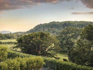 A view of trees and hills at Take Five in Ambleside