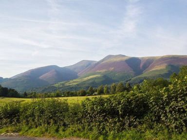 A rural landscape with green bushes in the foreground a grassy field and hills in the background at Scots Pine in Keswick