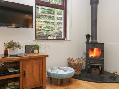 A living room with a wood stove and television at Corner Cottage in Troutbeck