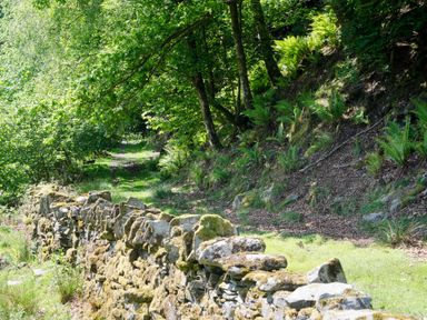 A stone wall next to a forest path with trees and ferns at Oakbank in Langdale