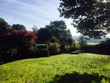 A garden with green grass and various trees and shrubs at Merewood Lodge Ambleside