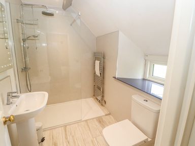 A bathroom with a walk-in shower a sink a toilet and a towel rack at Home Farm House in Penrith