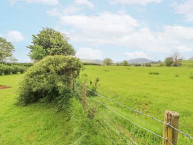 A grassy field with a wire fence and trees under a partly cloudy sky at Home Farm House in Penrith