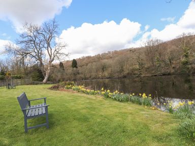 A grassy area with benches and yellow flowers next to a river with trees in the background at Riverside Hideaway in Newby Bridge