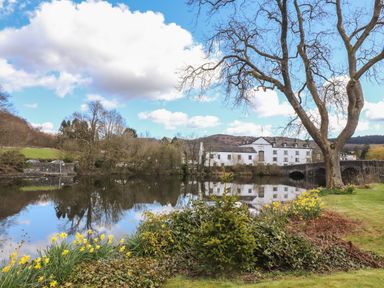 A river with yellow flowers and a large tree near a white building and stone bridge at Riverside Hideaway in Newby Bridge