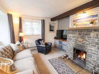 A living room with a sofa, armchair, stone fireplace with a fire, and television at Riverside Hideaway in Newby Bridge