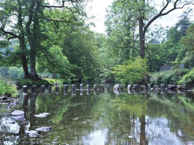 A calm river with stone stepping posts across and trees along the banks at The Mews in Ambleside