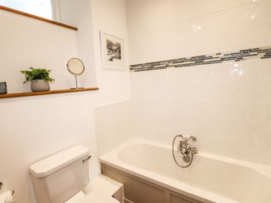 A bathroom with a white bathtub with a faucet a white toilet and a shelf with a plant and a mirror at The Mews in Ambleside