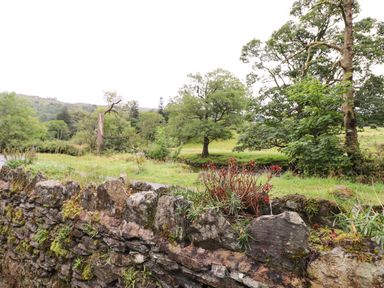 A stone wall covered with moss and plants with trees and grassy fields in the background at The Mews in Ambleside
