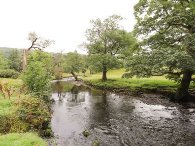 A river with trees and grass along its banks at The Mews in Ambleside