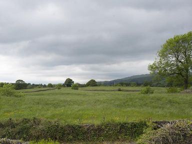 A landscape with grassy fields trees hills and a cloudy sky at March House in Windermere