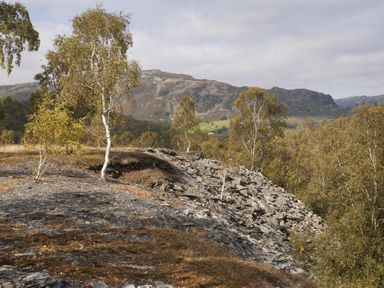 A rocky hillside with scattered trees and distant mountains at Wythebank in Langdale