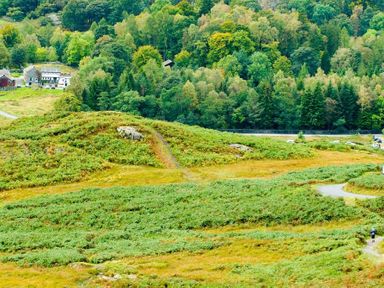 A green hillside with a walking path near a wooded area and some buildings at Wythebank in Langdale