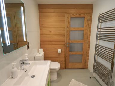 A bathroom with a sink a toilet a wooden door a towel rack and a large mirror at Idle Mill 1 Ambleside