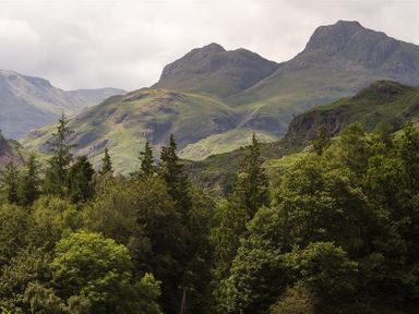A mountain landscape with green hills and dense trees in the foreground at Le Chalet in Elterwater