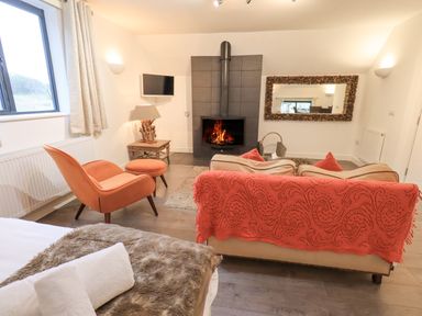 A living room with a fireplace an orange chair and a sofa with an orange throw at Le Chalet in Elterwater