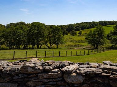 A stone wall with a fenced field and trees on rolling hills at Bank Barn at Rusland in Grizedale