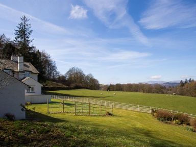 A house with a garden and fenced green fields with sheep under a blue sky at Juniper Cottage in Windermere