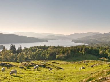 A hillside with sheep grazing overlooking a lake and distant mountains at Juniper Cottage in Windermere