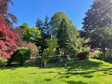 A garden with various trees and shrubs and a green lawn at Ben House in Grasmere